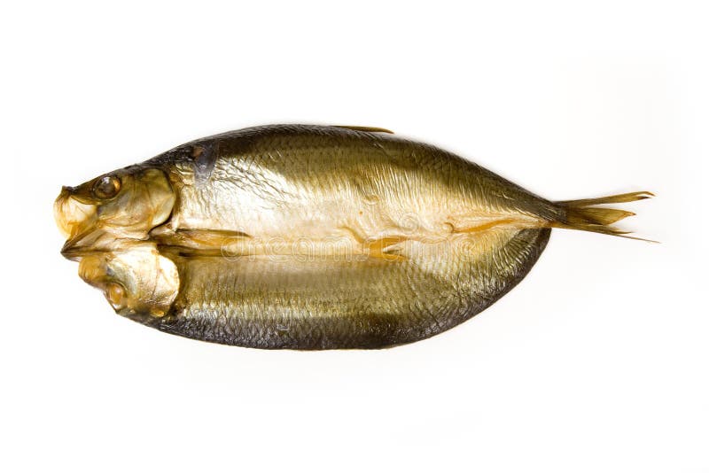 Smoked Kipper Fish stock photo. Image of stilllife, smoked 6894522