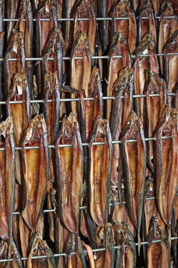 Smoked Kippers. stock photo. Image of mobile, fish, smoke 20424490