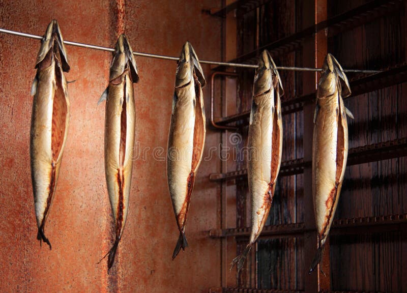 Smoked mackerel stock image. Image of delicacy, smoke 20639635