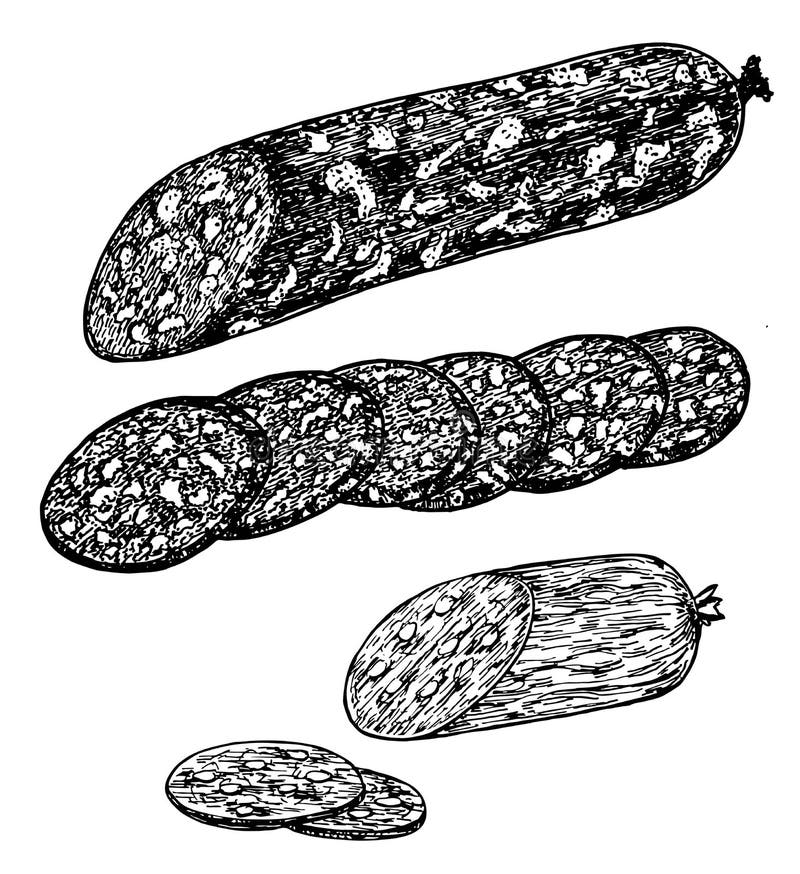 Smoked Meat Sausages Sketches. Sausage and Slices of Sausage Stock