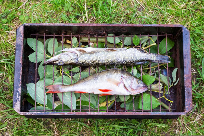 Smokehouse with salted fish closeup royalty free stock photos