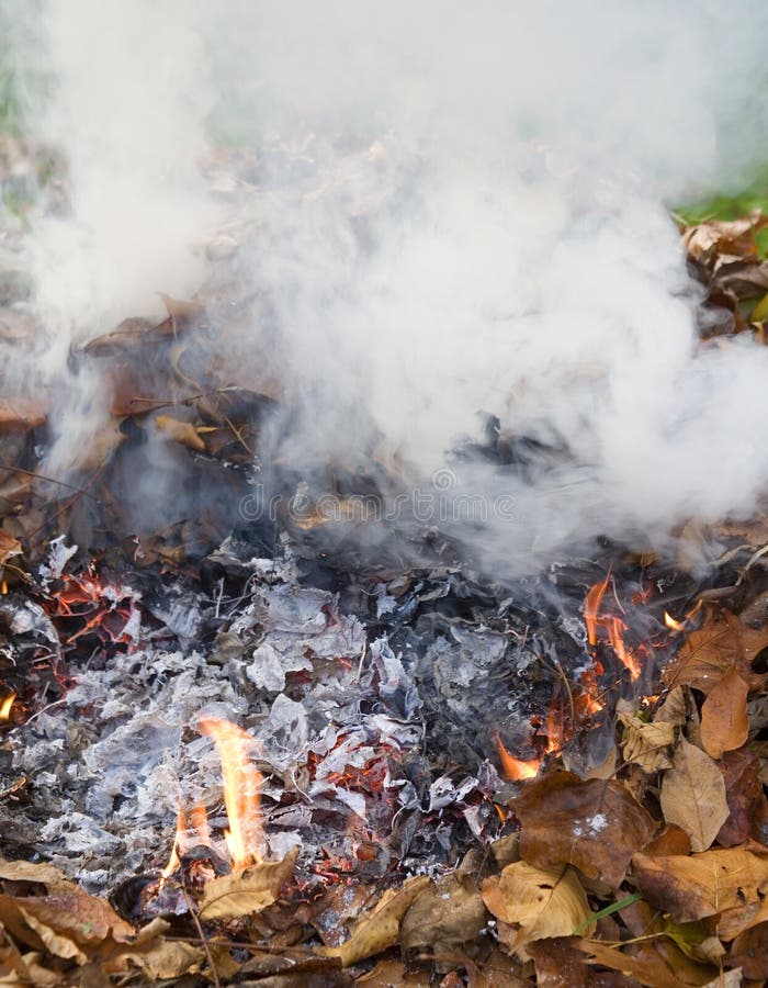 Smoking leaves stock image. Image of smoldering, fall 10471249