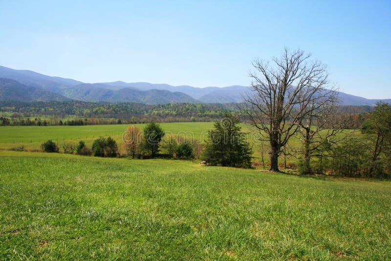 Smoky Mountain National Park