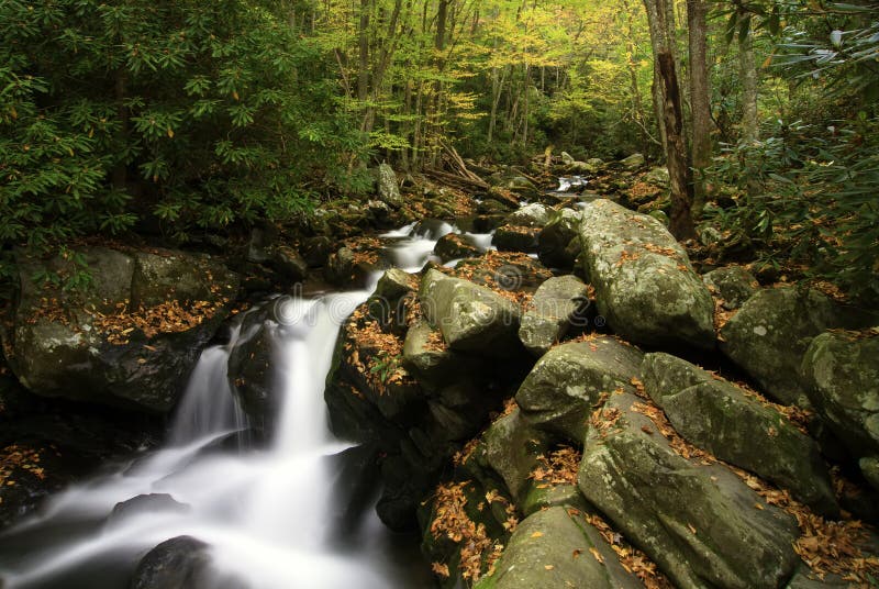 Smoky Mountain Splendor