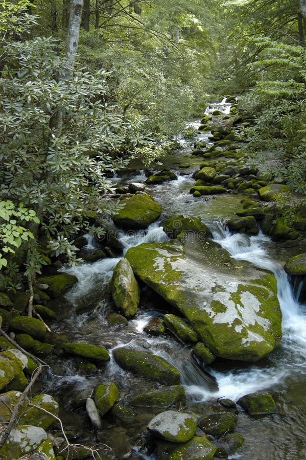 Smoky Mountains Stream & Falls royalty free stock photos