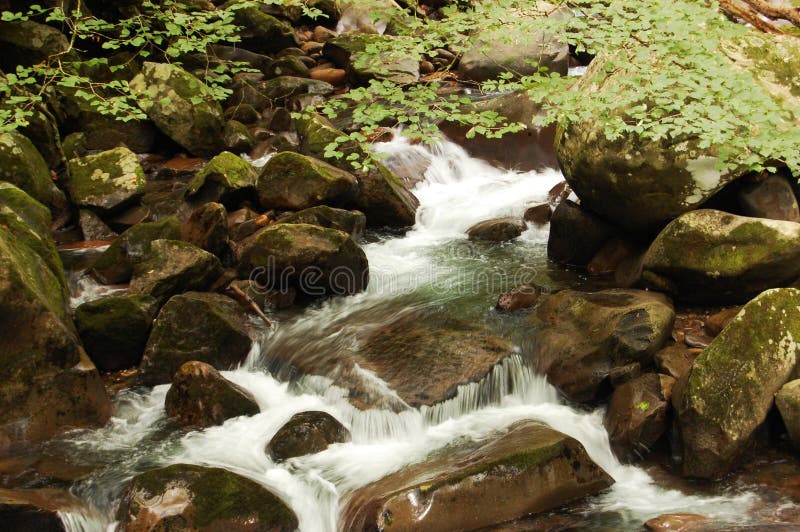 Smoky Mountains water flowing over rocks stock photo