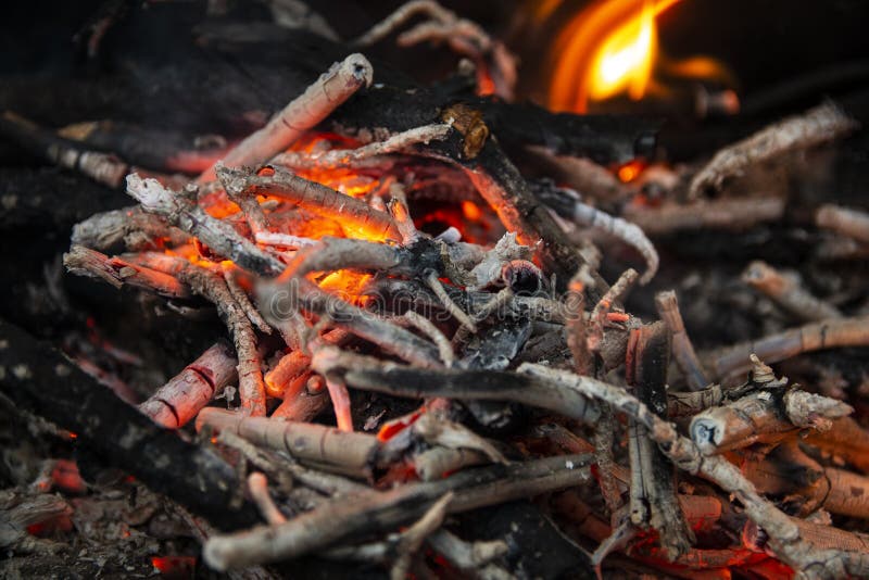 Burning Ash From The Fire In The Grill In The Forest Stock Image