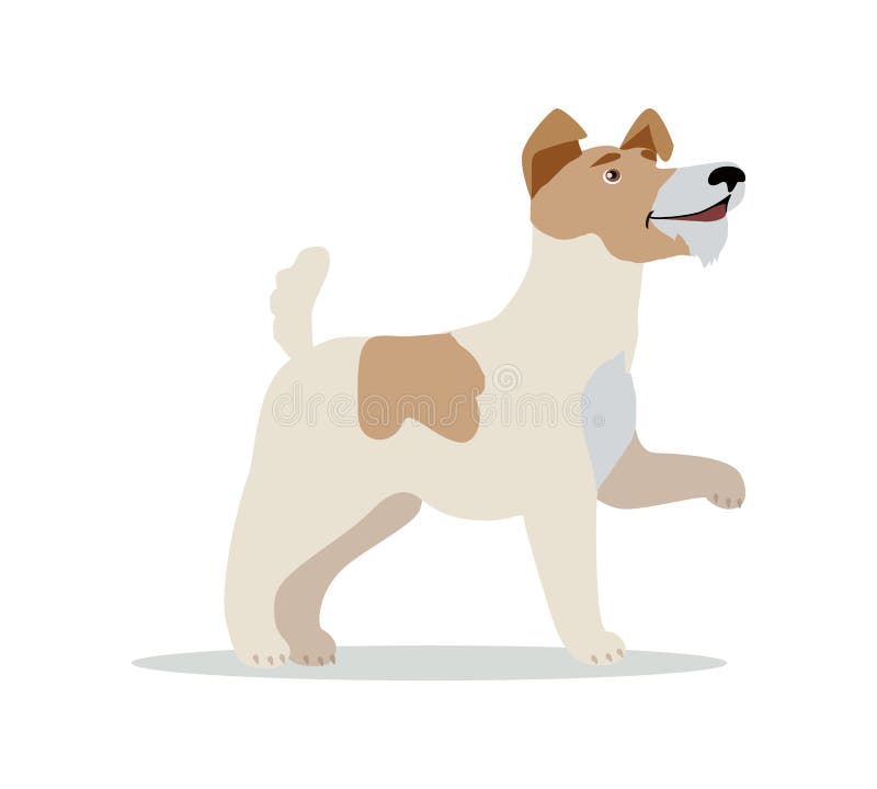Rat Terrier Stock Illustrations – 217 Rat Terrier Stock Illustrations, Vectors & Clipart - Dreamstime Rat Terrier Stock Illustrations – 217 Rat Terrier Stock Illustrations, Vectors & Clipart - Dreamstime