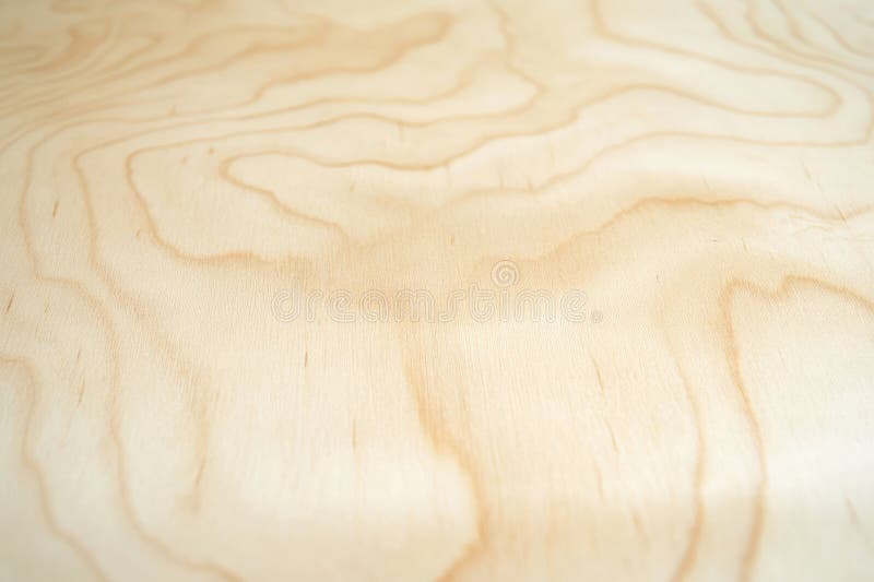 Smooth maple wooden backdrop with a light, creamy hue and subtle grain patterns. The wood surface stock image