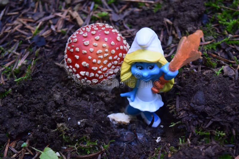 Smurf рядом с muscaria мухомора, обыкновенно известным как пластинчатый гриб мухы стоковое фото rf Smurf рядом с muscaria мухомора, обыкновенно известным как пластинчатый гриб мухы стоковое фото rf