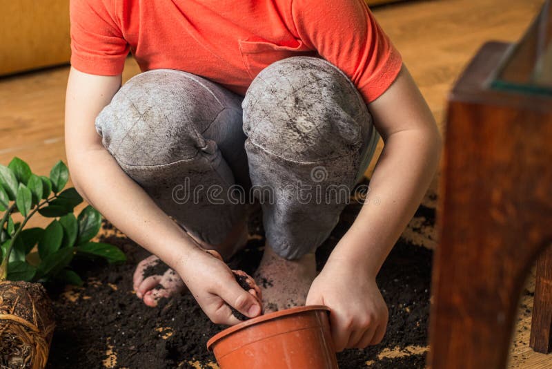Smutsig Jordfläckar På Kläder. Barnet Samlar Upp Jord Från En Flowerpot  Arkivfoto - Bild av förlora, livsstilar: 210279662