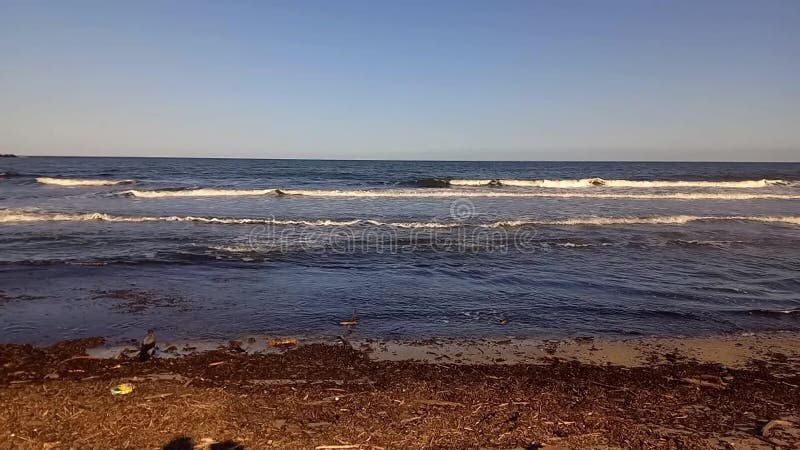 Smutsigt havsskräp på grund av miljöproblem med sandföroreningar till havs. skräp på bulgariska svarta havskusten efter stark