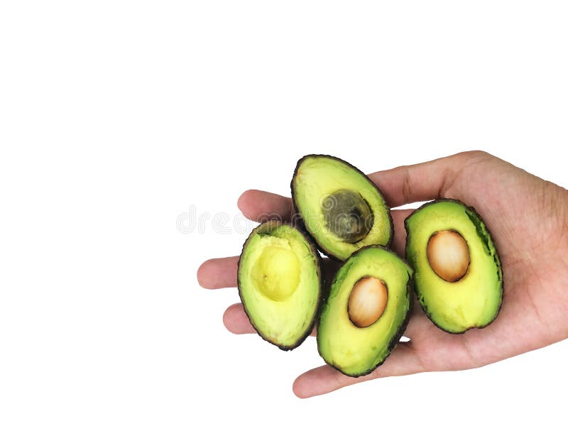 Små avokado, grön, hälsosam fruktodling i handen, har kopieringsutrymme i vit bakgrund, ren och hälsosam föda arkivfoto Små avokado, grön, hälsosam fruktodling i handen, har kopieringsutrymme i vit bakgrund, ren och hälsosam föda arkivfoto