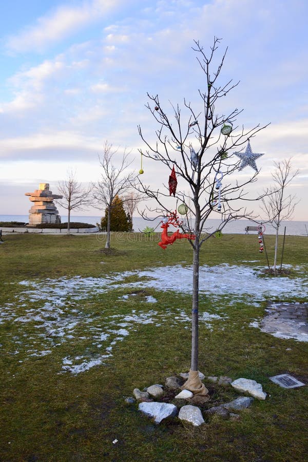 Small bare tree decorated with ornaments along Georgian Bay lakeshore during Winter. Small bare tree decorated with ornaments along Georgian Bay lakeshore during Winter