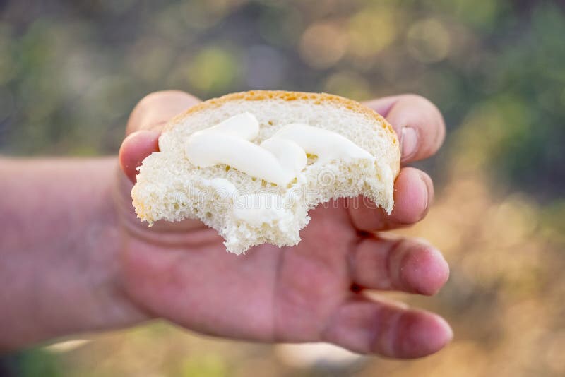 Snack Bread with Mayonnaise in Hand Stock Image Image of domestic, lunch 119426499