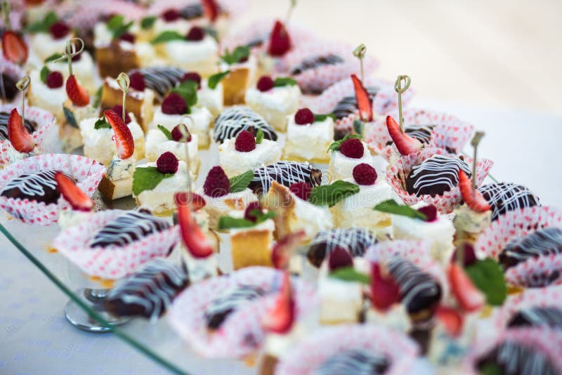 Snacks for a Wedding Party and Birthday. Festive Table of Canapes Stock