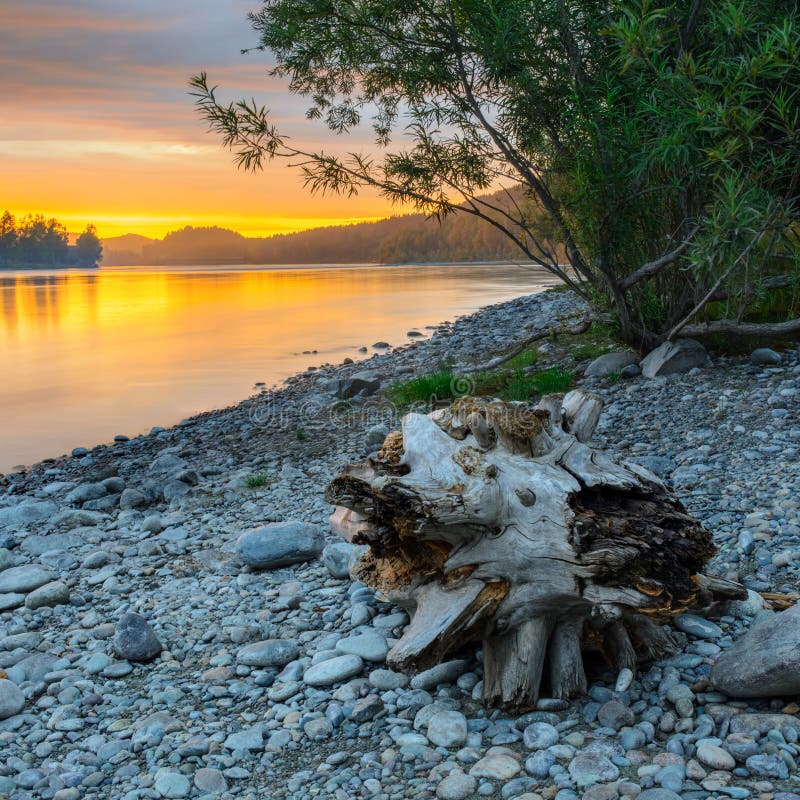 Snag and river stock image. Image of park, dark, lone 48217109