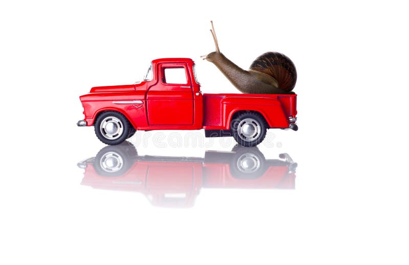 Snail on a car stock image. Image of singing, wildlife 33490407