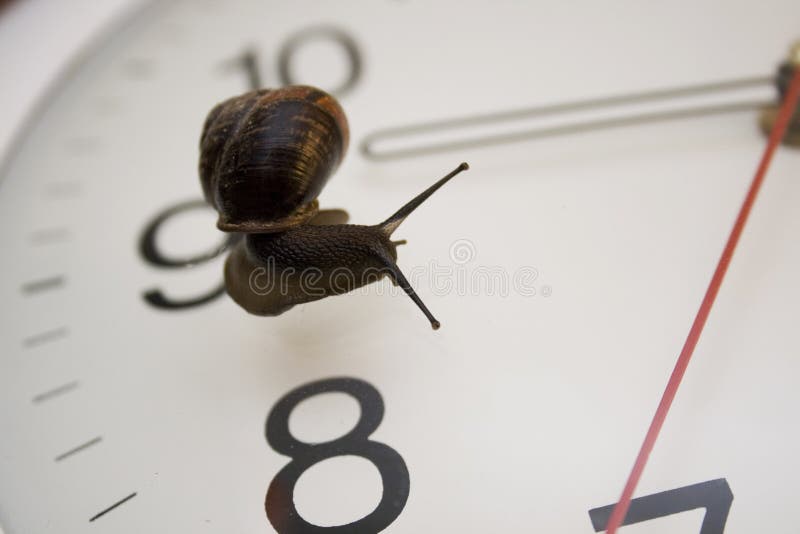 Snail and clock