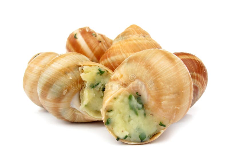 Snail Escargot Prepared As Food Stock Image Image of mollusks, filled