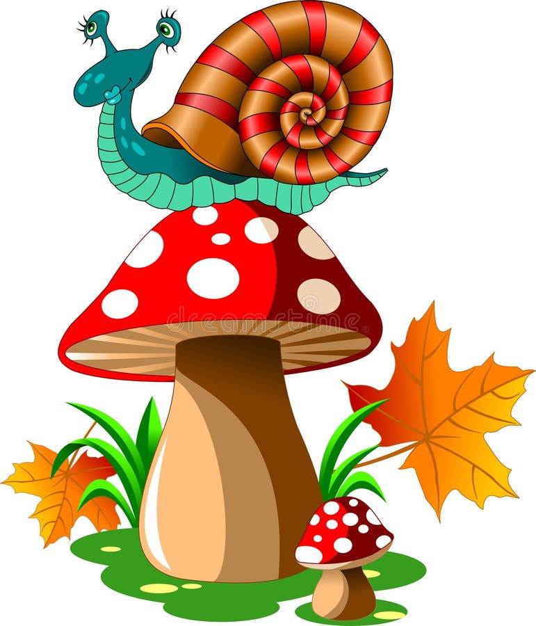 Snail on mushroom