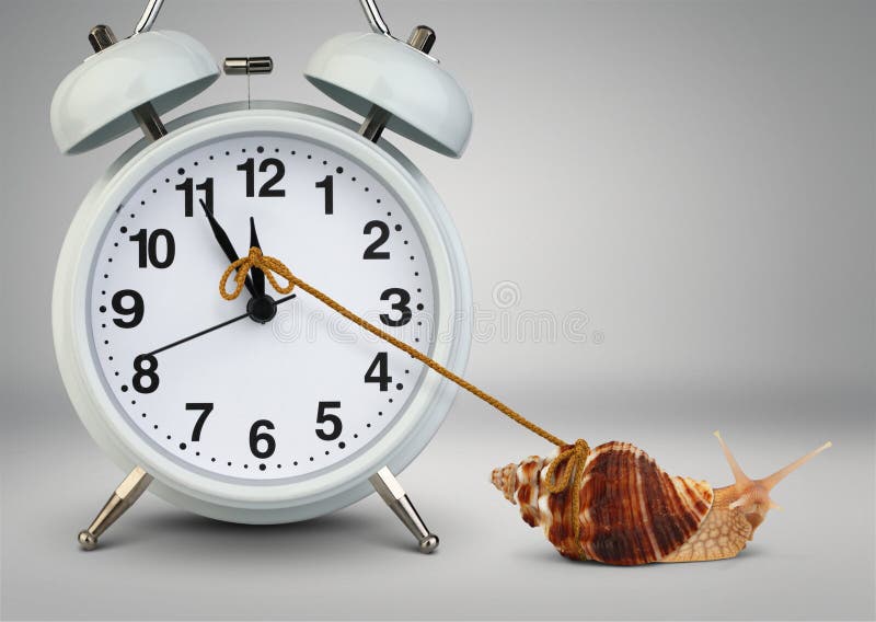 Snail pulling clock hand , time management concept