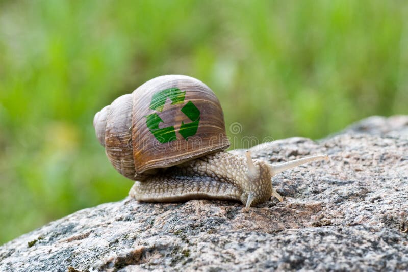 snail with recycle symbol