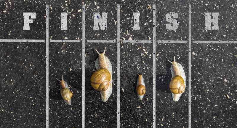 Snail run, near the Finish line, Winner sign on the ground, funny concept