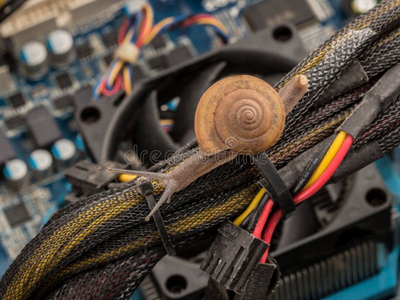 Snail on serviced personal computer concept for slowly, error, v stock images