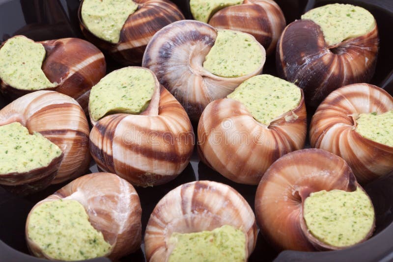 Snails with garlic butter stock photo. Image of tray 19827330