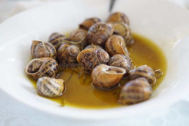Spanish Cooked Snails In Sauce Stock Image Image of nutrition