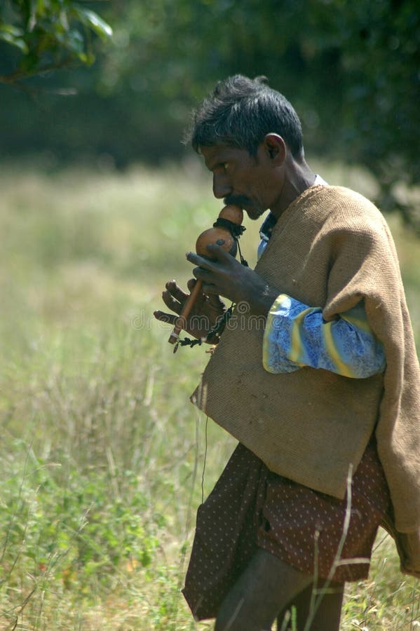 Snake catcher at work editorial stock photo. Image of hunting - 32097758