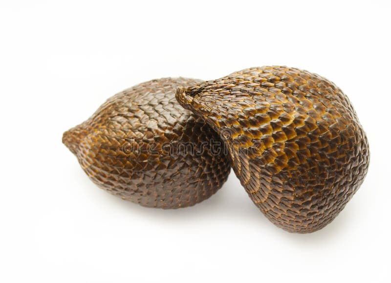 Snake Fruit from Salak Palm Stock Image Image of pondoh, white 5319555