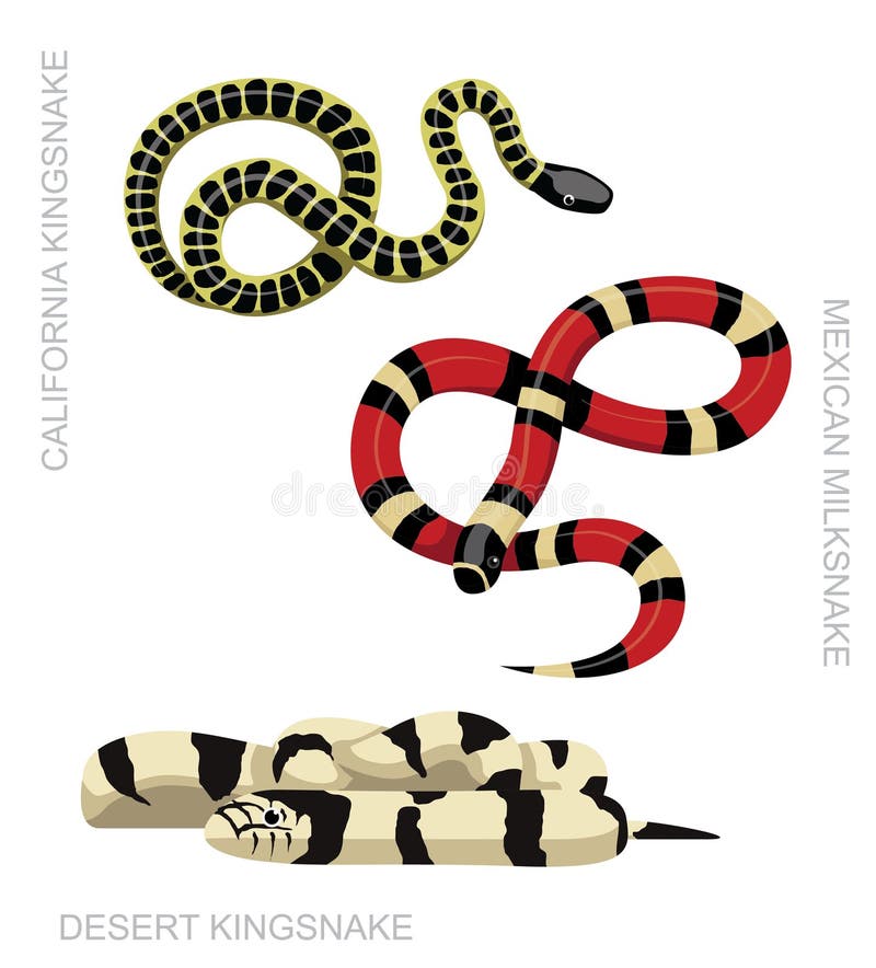 Page 3  Gucci snake car wrap Vectors & Illustrations for Free