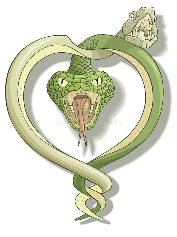 Snake love