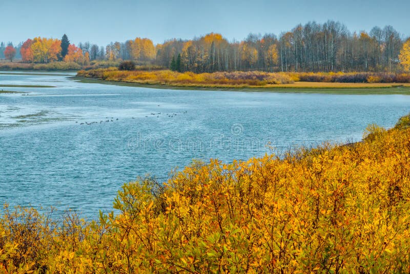 Snake River and the Golden Aspens stock image Snake River and the Golden Aspens stock image