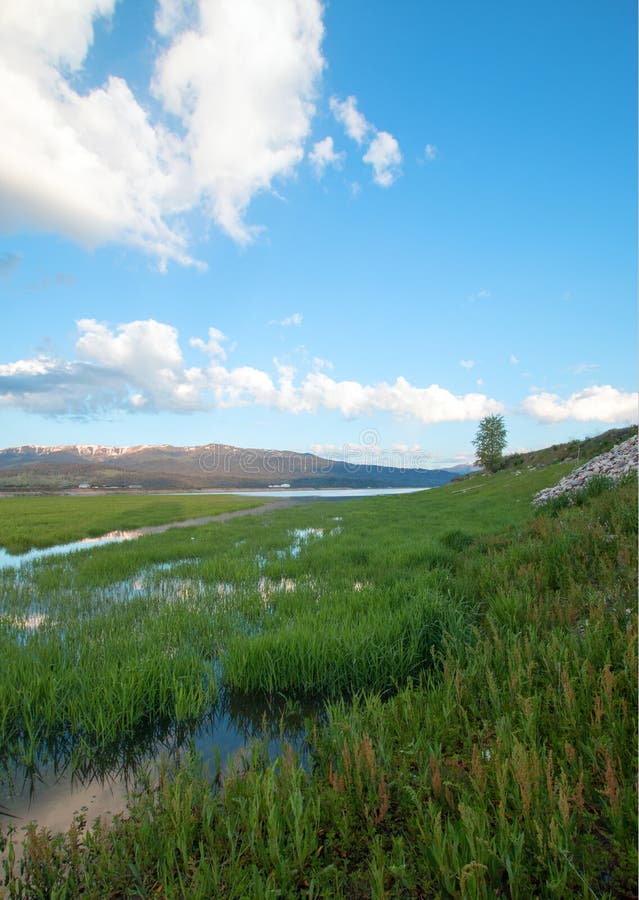 Snake River and grassy bank in the morning under cumulus clouds in Alpine Wyoming stock photo Snake River and grassy bank in the morning under cumulus clouds in Alpine Wyoming stock photo
