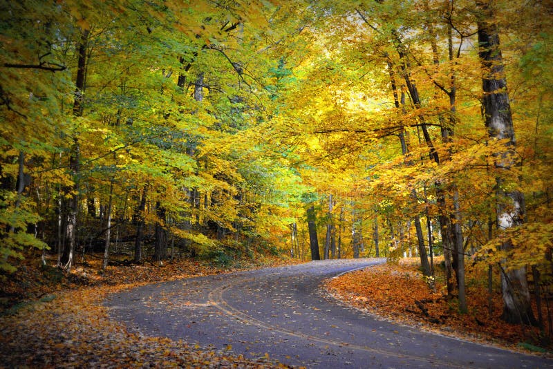 Fall Road