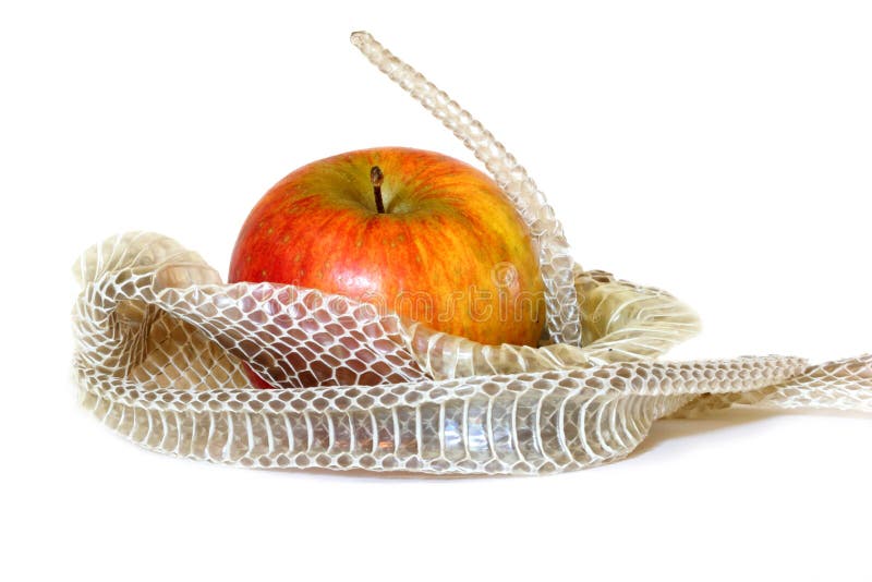 Snake Skin and Apple stock photo