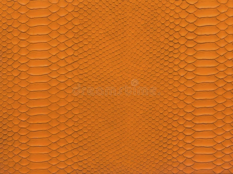 Snake skin orange color stock photo Snake skin orange color stock photo