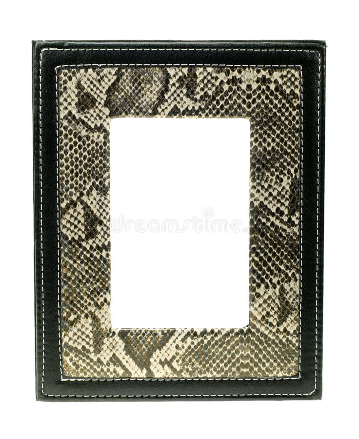 Snake skin picture frame