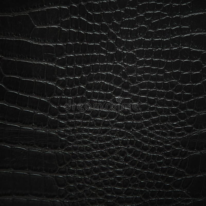 Black Snake Skin  Snake Texture HD phone wallpaper  Pxfuel