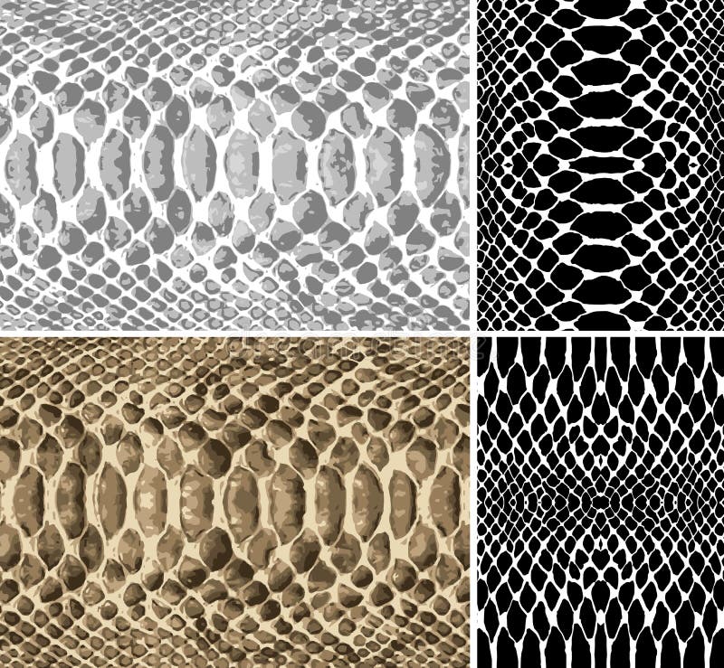 Snake skin. Vector.