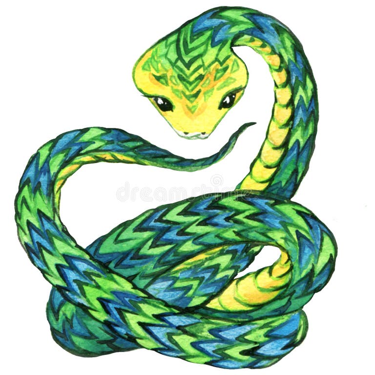 Anaconda Drawing Stock Illustrations – 1,637 Anaconda Drawing Stock