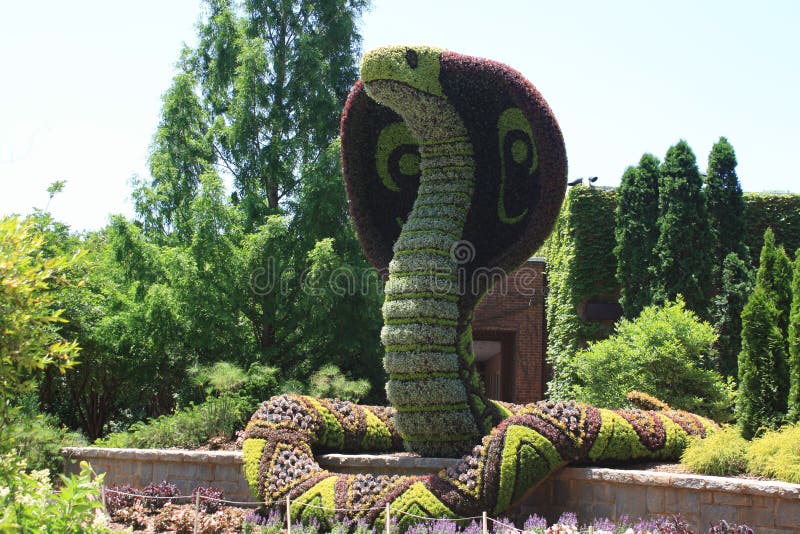 Snake Topiary royalty free stock photo