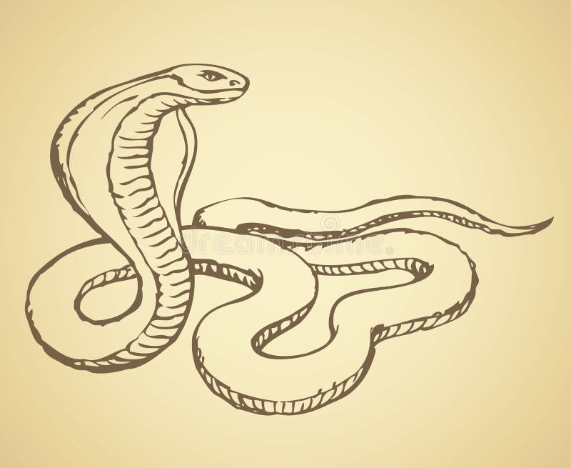 85 Recomended Drawing snake long fangs flat sketch For Learning