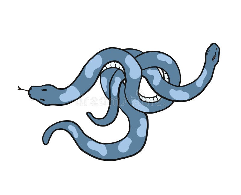 Snake Vector Illustration on Design Snake Reptile for Printing and Sign Vector Such As a Gemini. Stock Illustration - Illustration of drawing, background: 213690283 Snake Vector Illustration on Design Snake Reptile for Printing and Sign Vector Such As a Gemini. Stock Illustration - Illustration of drawing, background: 213690283