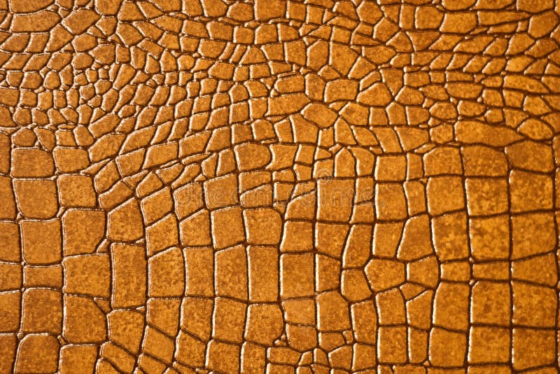 Snakeskin del Brown o struttura del coccodrillo immagini stock libere da diritti Snakeskin del Brown o struttura del coccodrillo immagini stock libere da diritti