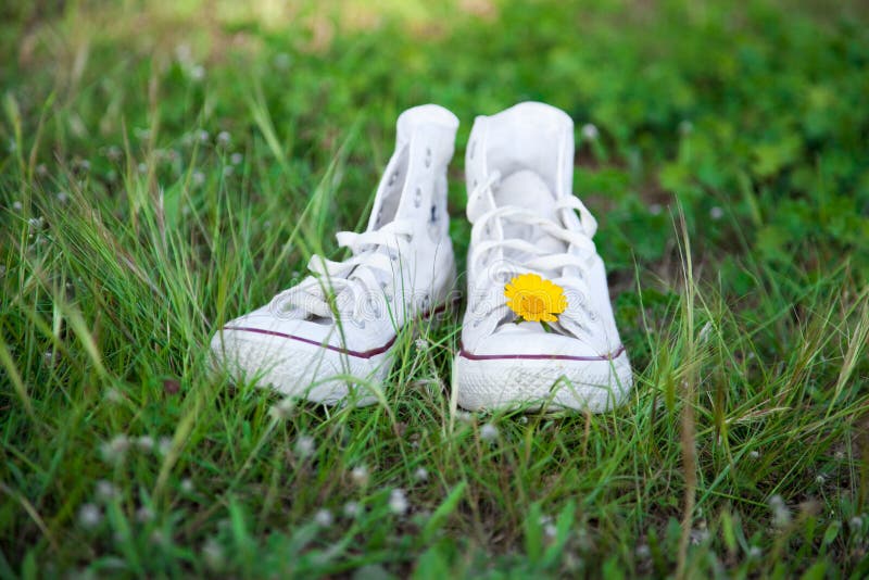 Sneakers and daisy