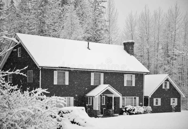 Sneeuw behandeld huis in bos